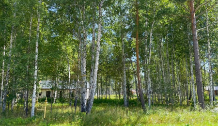 Участок № 114 в поселке Гранат, площадь 9.84 соток