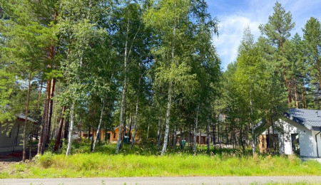 Участок № 124 в поселке Гранат, площадь 9.84 соток