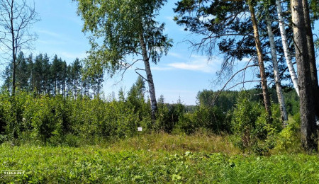 Участок № 2 в поселке Иволга, площадь 16.90 соток