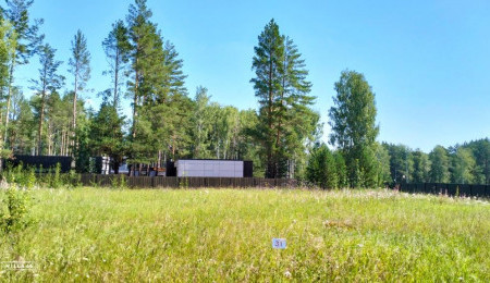 Участок № 31 в поселке Иволга, площадь 13.87 соток
