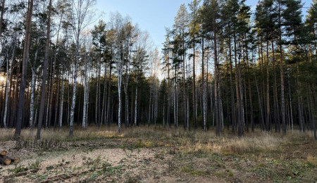Участок № 10 в поселке Колибри, площадь 25.60 соток