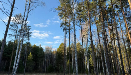 Участок № 12 в поселке Колибри, площадь 21.90 соток