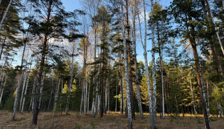 Участок № 15 в поселке Колибри, площадь 16.80 соток