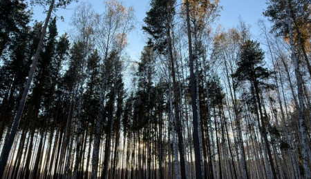 Участок № 29 в поселке Колибри, площадь 14.05 соток