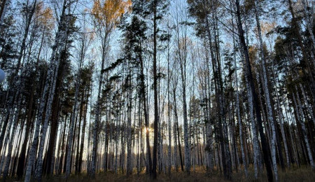 Участок № 30 в поселке Колибри, площадь 14.05 соток