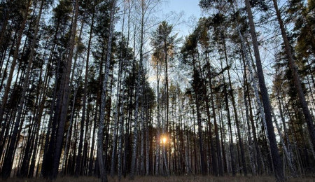 Участок № 35 в поселке Колибри, площадь 14.05 соток