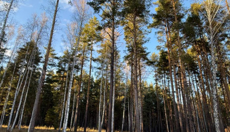 Земельный участок № 37 в Колибри, цена 1 046 250 руб/сотка