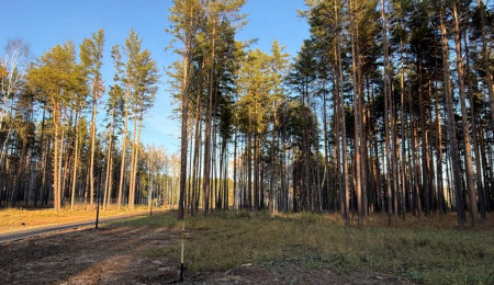 Участок № 38 в поселке Колибри, площадь 15.00 соток