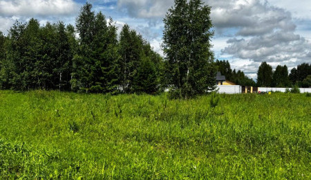 Участок № 38 в поселке Лукоморье, площадь 16.58 соток