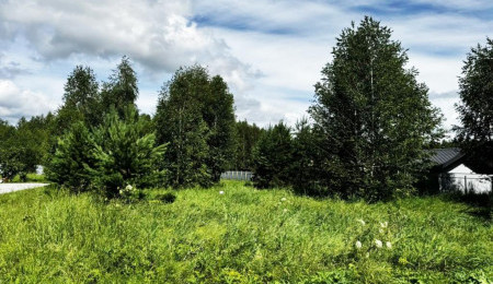 Участок № 40 в поселке Лукоморье, площадь 24.45 соток