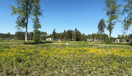 Участок № 46 в поселке Аист, площадь 8.06 соток