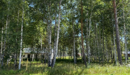 Участок № 114 в поселке Гранат, площадь 9.84 соток