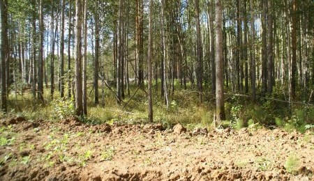 Участок № 39 - вид №5