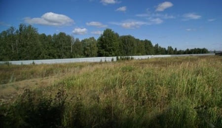 Продажа участка № 31 — Лукоморье, площадь 13.10 соток