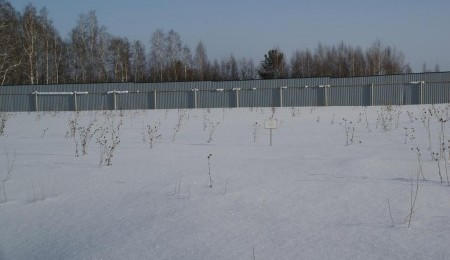 Земельный участок № 26 в Лукоморье — 11.15 соток