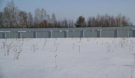 Участок № 26 в поселке Лукоморье, площадь 11.15 соток