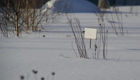 Участок № 46 в поселке Лукоморье, площадь 12.11 соток