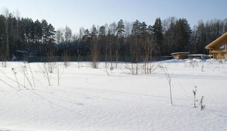 Продажа участка № 49 — Лукоморье, площадь 11.68 соток