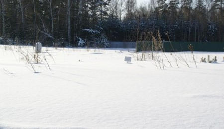 Участок № 50 в поселке Лукоморье, площадь 11.57 соток