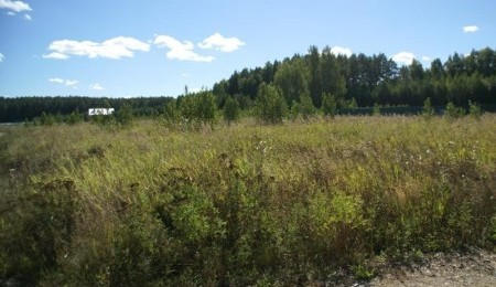 Участок № 49 в поселке Лукоморье, площадь 11.68 соток