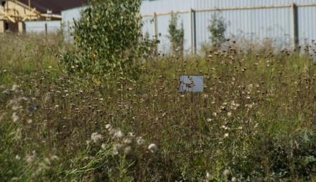 Земельный участок № 28 в Лукоморье, цена 147 000 руб/сотка