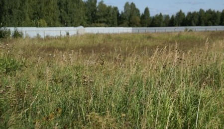 Земельный участок № 31 в Лукоморье, цена 210 000 руб/сотка