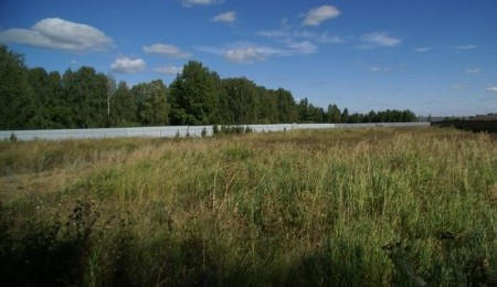 Участок № 31 в поселке Лукоморье, площадь 13.10 соток