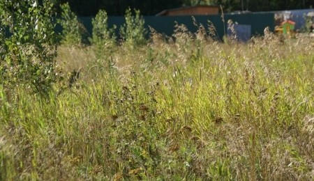 Участок № 50 — 11.57 соток в Лукоморье, продажа