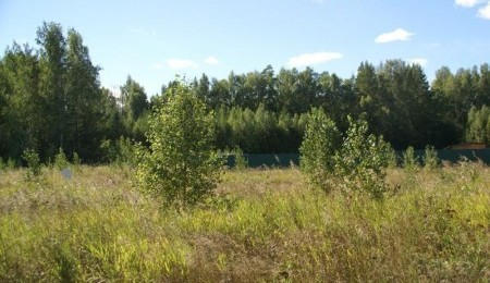 Земельный участок № 50 в Лукоморье, цена 210 000 руб/сотка