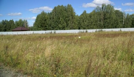 Участок № 32 в поселке Лукоморье, площадь 12.98 соток