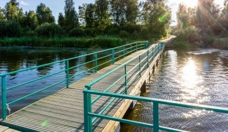 Земельный участок № 46 в Лукоморье, цена 210 000 руб/сотка