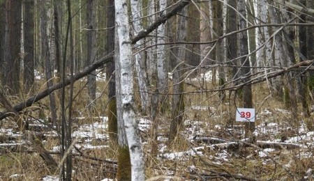 Участок № 39 - вид №1