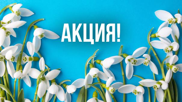 Специальные цены на определённое количество участков.