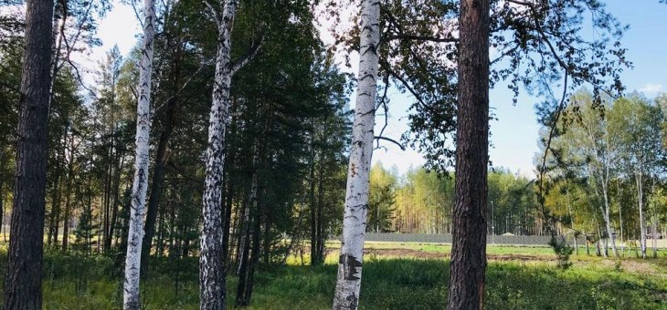 Участок № 235 в поселке Рысь, площадь 16.25 соток