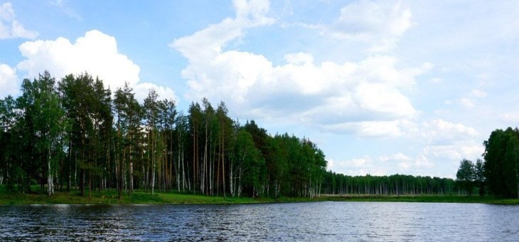 Участок № 235 в поселке Рысь, площадь 16.25 соток