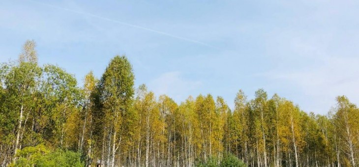 Участок № 120 в поселке Косуля, площадь 13.94 соток