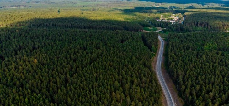 Земельный участок № 173 в Косуля — 14.43 соток