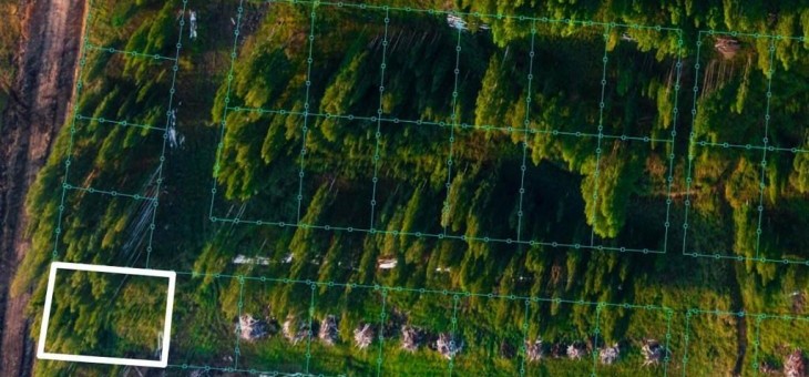 Участок № 161 в поселке Снегири, площадь 11.74 соток