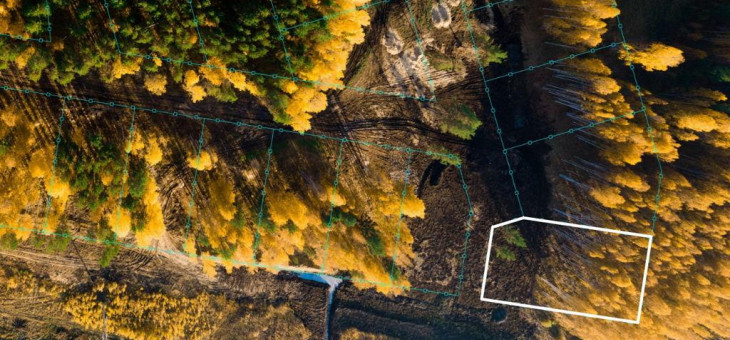 Участок № 44 в поселке Журавли, площадь 16.20 соток