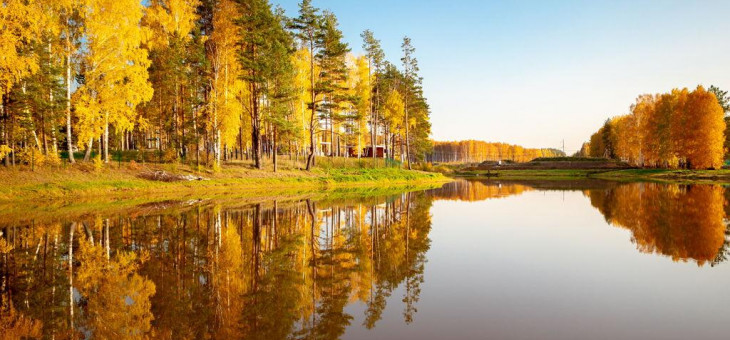 Продажа участка № 10 — Кедровка, площадь 12.16 соток