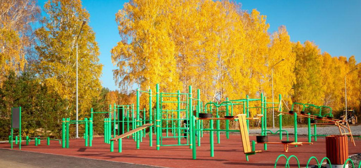 Участок № 161 в поселке Снегири, площадь 11.74 соток