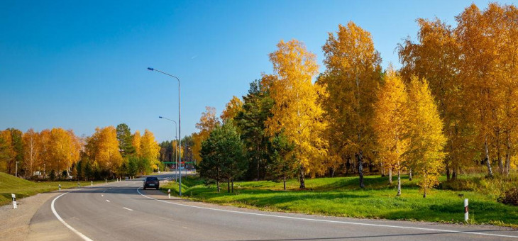 Земельный участок № 161 в Снегири — 11.74 соток