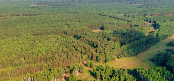 Земельный участок № 1 в Орёл, цена 560 000 руб/сотка