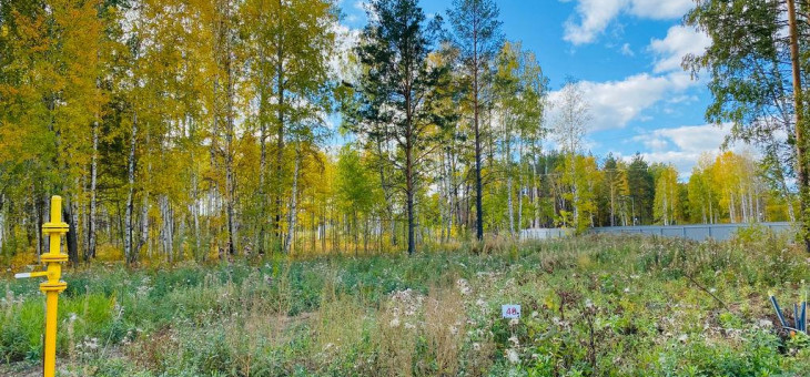 Участок № 40 в поселке Кедровка, площадь 15.75 соток