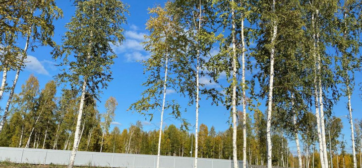 Участок № 1 в поселке Ласточка, площадь 9.27 соток