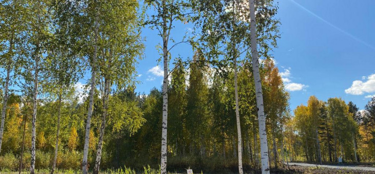 Участок № 4 в поселке Ласточка, площадь 9.72 соток