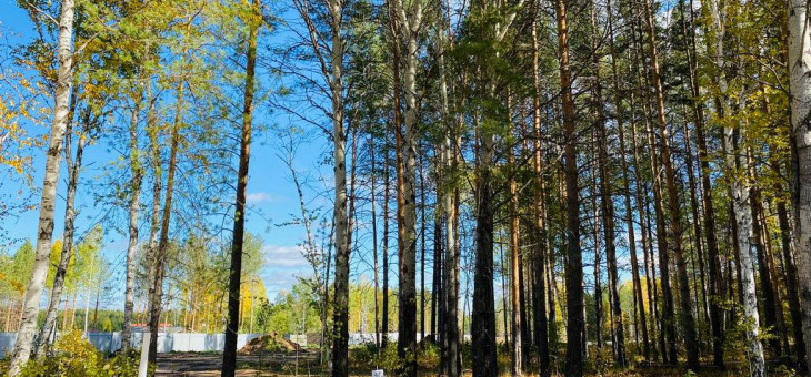 Участок № 47 в поселке Ласточка, площадь 11.75 соток