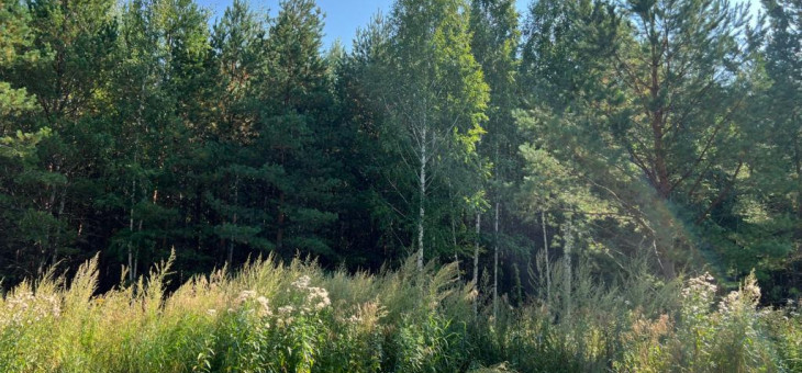 Участок № 8 в поселке Ласточка, площадь 9.19 соток