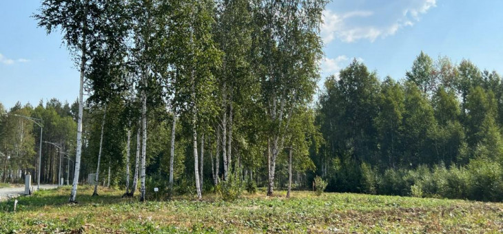 Участок № 40 в поселке Ласточка, площадь 10.25 соток