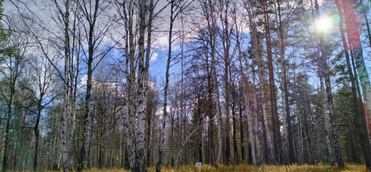 Земельный участок № 78 в Агат, цена 600 000 руб/сотка